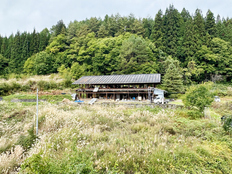 6E6E860A-081A-49EF-9C1A-D454F00B500F.jpg